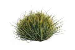 A dense, lush clump of vibrant green grass on a clean Product Image 2