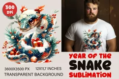 Snake Sublimation |Year of the Snake | PNG Product Image 1