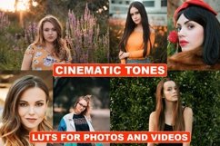 Cinematic LUTs for Photoshop / Affinity Photo and Videos Product Image 1