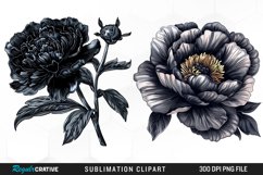Dark Peony Illustration PNG Clipart Product Image 1