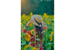 Cinematic Look Professional Capture One Styles Product Image 4