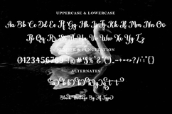 Black Vintage Product Image 3