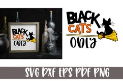 Black Cats Only Halloween SVG Cut file Product Image 1