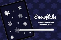 Snowflake stamps & Patterns for Procreate Product Image 1