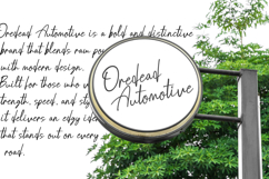 Brondia Derepina a Handwritten Script Premium Font Product Image 5