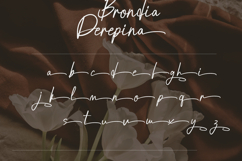 Brondia Derepina a Handwritten Script Premium Font Product Image 6