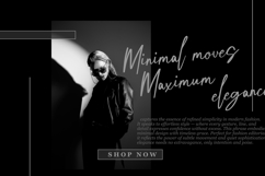 Brithalia Brush Signature Font Product Image 8