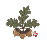 Acorn Embroidery Design Fall Leaves Product Image 8