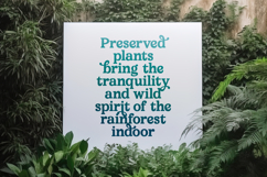 Upland Calling - Display Serif Font Product Image 9