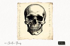 Vintage Goth Skull Clipart | Halloween PNG Product Image 1