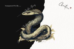 Vintage Goth Snake Clipart | Halloween PNG Product Image 2