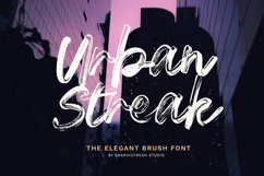 Urban Streak - The Elegant Brush Font Product Image 1