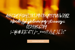 Urban Streak - The Elegant Brush Font Product Image 5