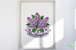 USA State Flowers Embroidery Clipart Bundle Product Image 4