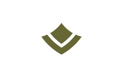 V logo design Product Image 1