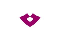 V logo design Product Image 1