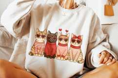 Cat Valentine's Day PNG, Cat Mom PNG, Cat Lover PNG, Xoxo Product Image 2