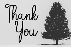 Valentine Delight Product Image 2