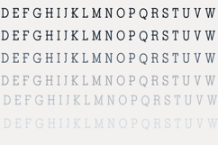 ZP Valentine Drop Cap Font Family Product Image 6