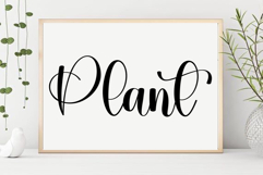 Valentine Lovelace Product Image 2