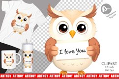 Valentine Owl Cartoon Clipart Product Image 1