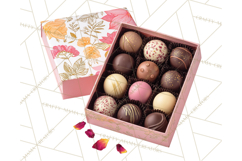 Valentine Sweet Treats Clipart PNG Cupcakes Cookie Chocolate Product Image 5