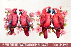 Valentines Day Parrot Couple Clipart, Valentines PNG Product Image 1