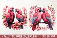 Valentines Day Parrot Couple Clipart, Valentines PNG Product Image 1
