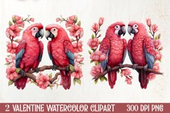 Valentines Day Parrot Couple Clipart, Valentines PNG Product Image 1