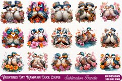 Valentines Day Mandarin Duck Couple   Watercolor Valentines, Valentines Day Clipart, Valentines Clipart, Valentines Clipart Bundle, Valentines Watercolor, Watercolor Valentines, Valentines Sublimation, Valentines, Valentines Clip Art, Valentines Sublimati