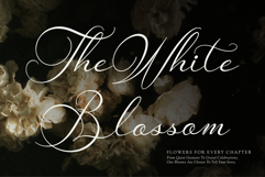 Van Marigella | Classic Calligraphy Font Product Image 4