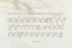 Van Marigella | Classic Calligraphy Font Product Image 11