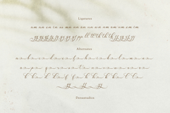 Van Marigella | Classic Calligraphy Font Product Image 12