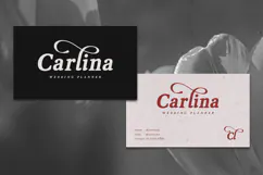 Vanielst Elegant Serif Stylistic Product Image 3