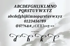 Vanielst Elegant Serif Stylistic Product Image 4