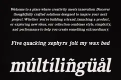 Vanielst Elegant Serif Stylistic Product Image 5