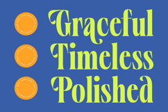 Vardent - Modern Serif Font Product Image 11