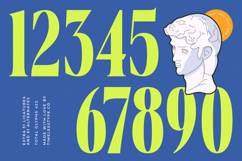 Vardent - Modern Serif Font Product Image 13