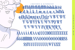 Vardent - Modern Serif Font Product Image 18