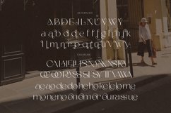 Vardgeon Modern Sans Product Image 6