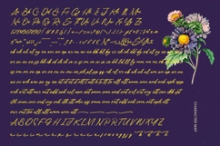 Varhen Karisha - Handwritten Ink Font Product Image 14