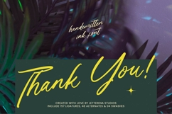 Varhen Karisha - Handwritten Ink Font Product Image 15