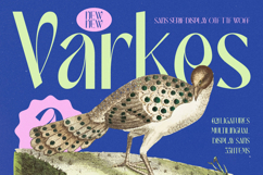 Varkes - Sans Serif Serif Display Font Product Image 1