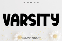 Varsity Product Image 1