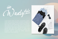 Vartigo Script Product Image 2