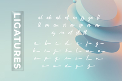 Vartigo Script Product Image 8