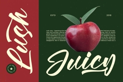 Vaughn Daniel - Bold Handwritten Font Product Image 3