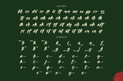 Vaughn Daniel - Bold Handwritten Font Product Image 19