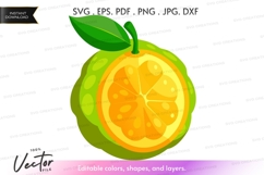 Freshly cut lemon vector clipart Product Image 1