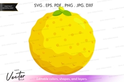 Bright yellow lemon vector clipart Product Image 1